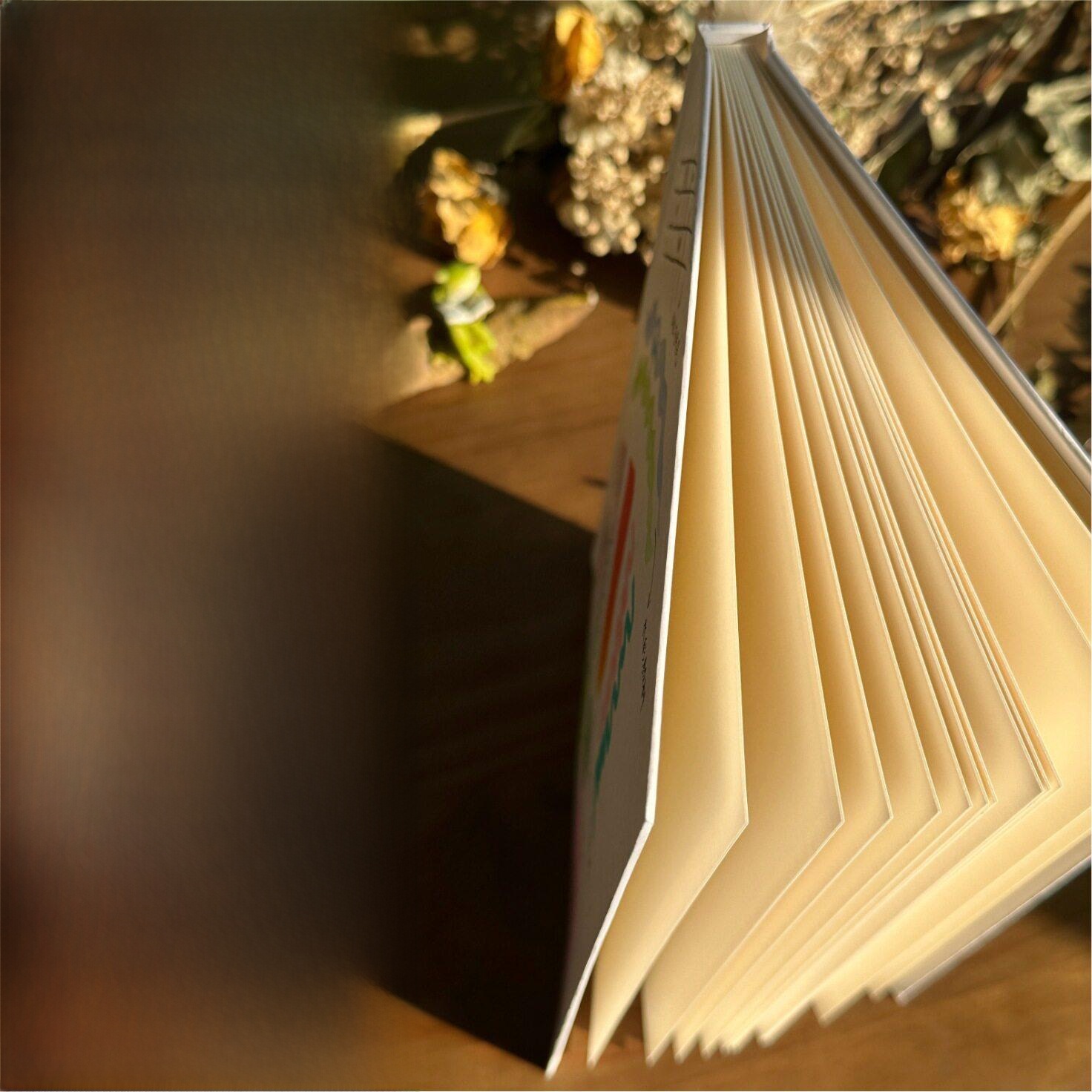 Journal Leather Hardcover - Handgezeichnetes Hardcover-Notizbuch mit Akkordeon-Seiten, Kreatives Fotoalbum,